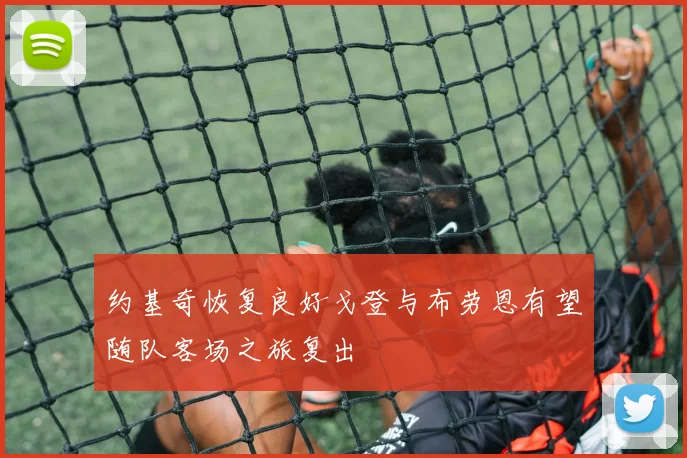 约基奇恢复良好戈登与布劳恩有望随队客场之旅复出