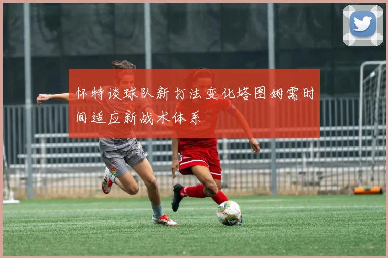怀特谈球队新打法变化塔图姆需时间适应新战术体系