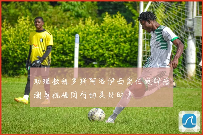 助理教练罗斯阿洛伊西离任致辞感谢与祝福同行的美好时光