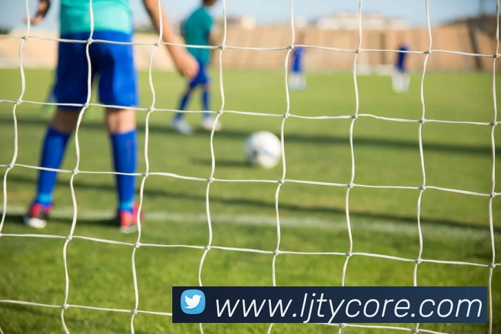 乐竞体育平台生态图